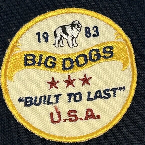 Big Dogs Jacket Mens Large Blue Yellow Varsity Bomber Patches Spellout Coat - Picture 4 of 14